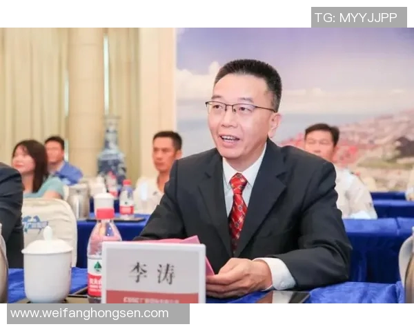 赛后分析：WE与LNG对决中的战术博弈与团队协作探讨
